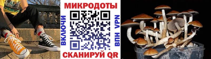 Псилоцибиновые грибы MAGIC MUSHROOMS  Купить где  Пионерский 
