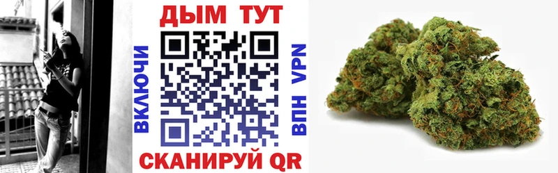 Шишки марихуана Amnesia  Купить закладки  Пионерский 